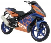 2006 CPI GTR150 photo